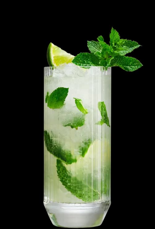 Mojito